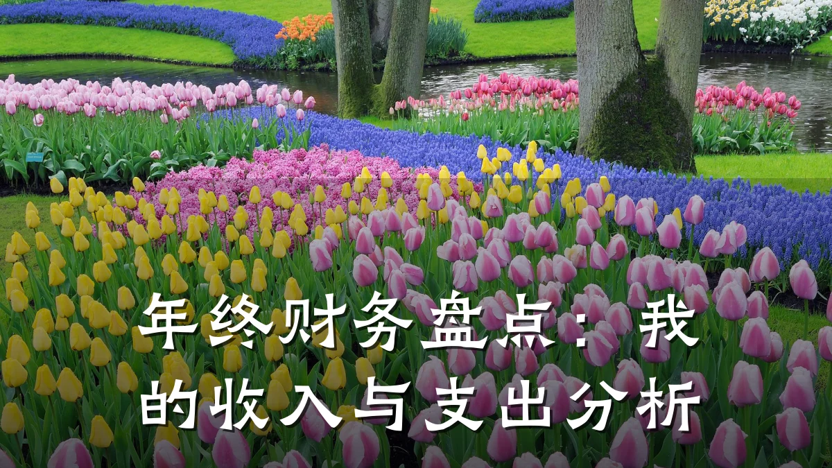 年终财务盘点:我的收入与支出分析