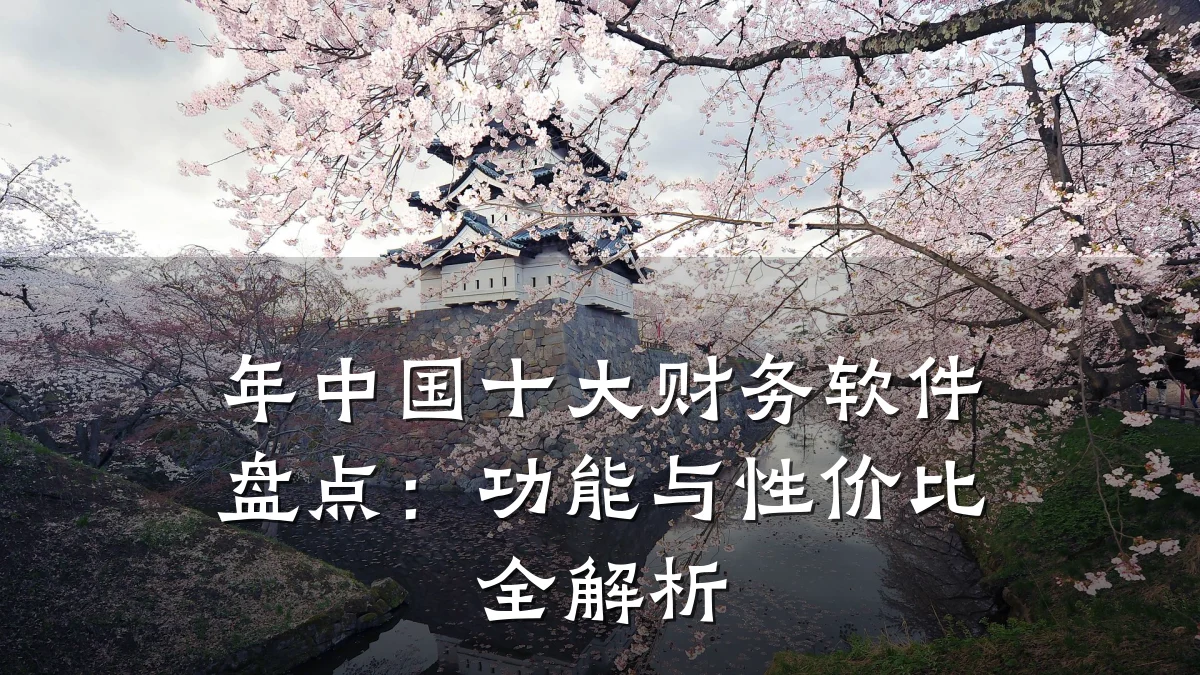 年中国十大财务软件盘点:功能与性价比全解析