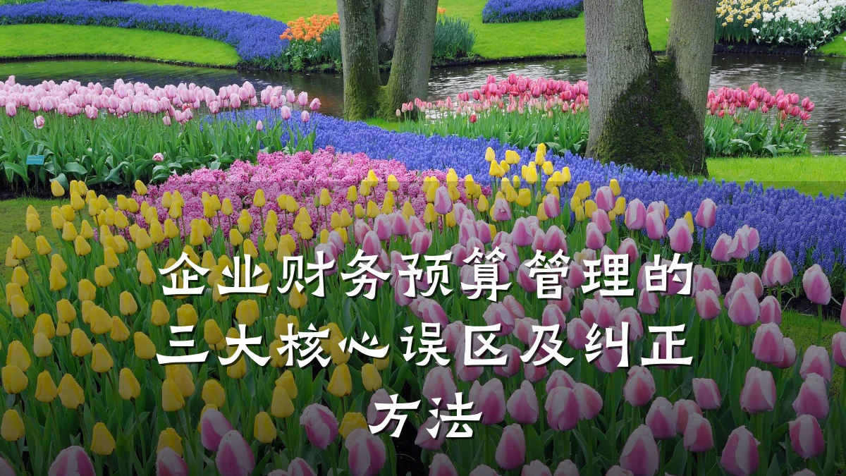 企业财务预算管理的三大核心误区及纠正方法