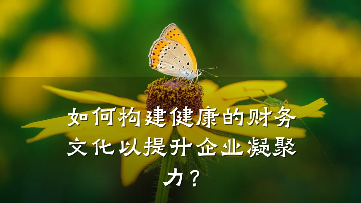 如何构建健康的财务文化以提升企业凝聚力?