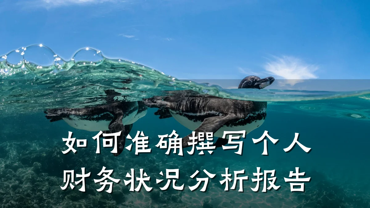 如何准确撰写个人财务状况分析报告