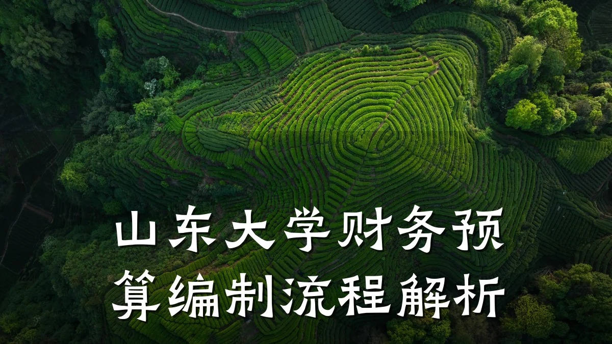 山东大学财务预算编制流程解析
