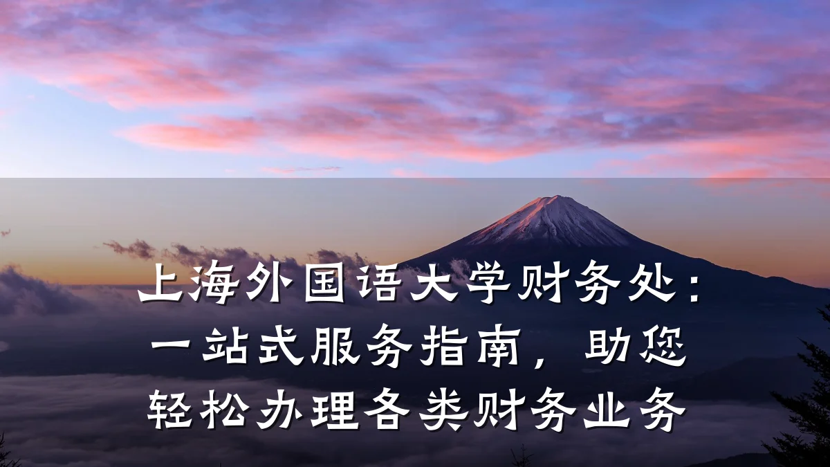 上海外国语大学财务处:一站式服务指南,助您轻松办理各类财务业务