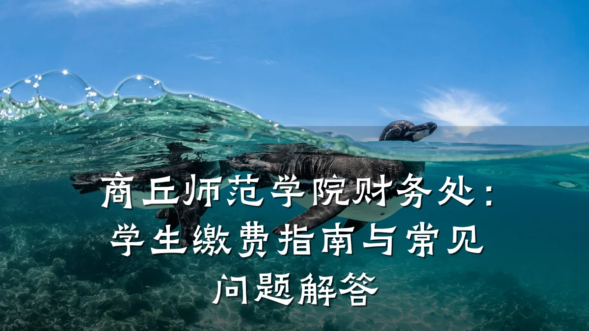 商丘师范学院财务处:学生缴费指南与常见问题解答
