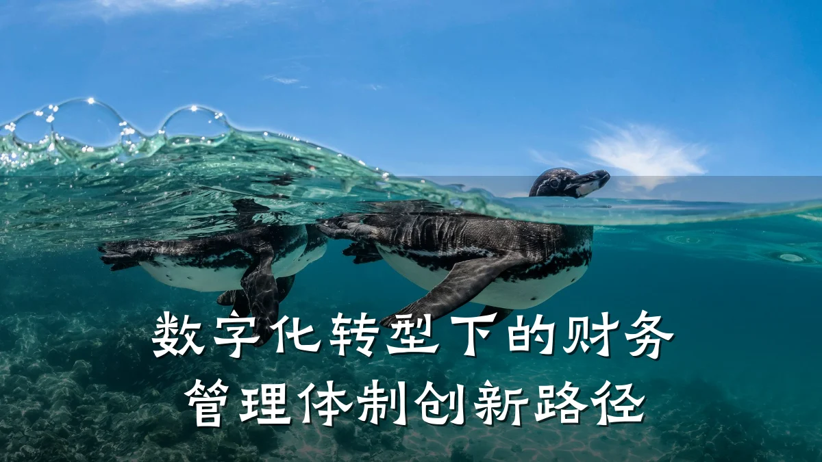 数字化转型下的财务管理体制创新路径