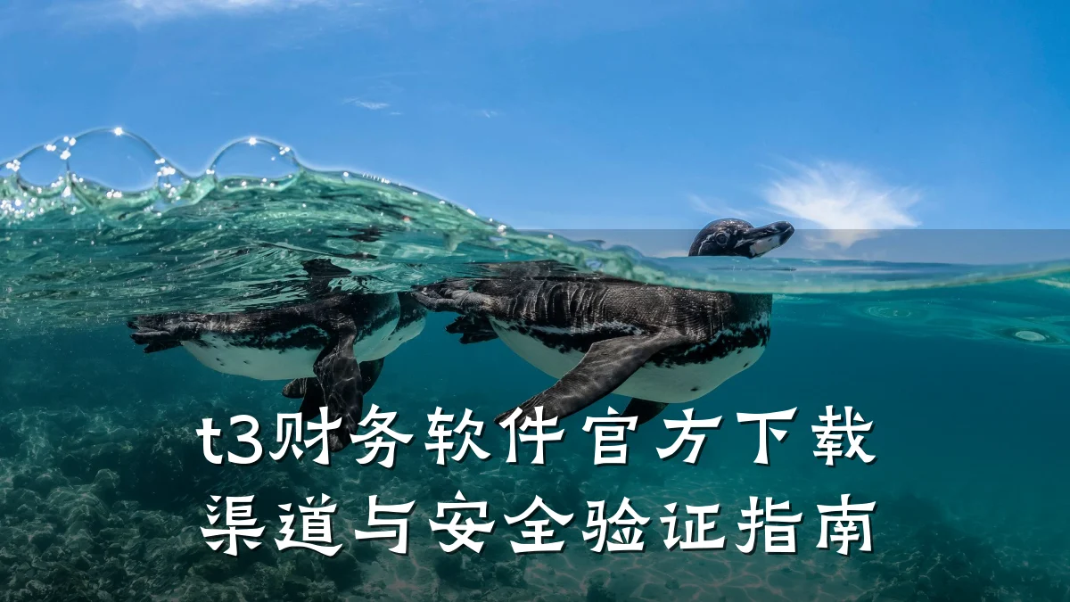 t3财务软件官方下载渠道与安全验证指南