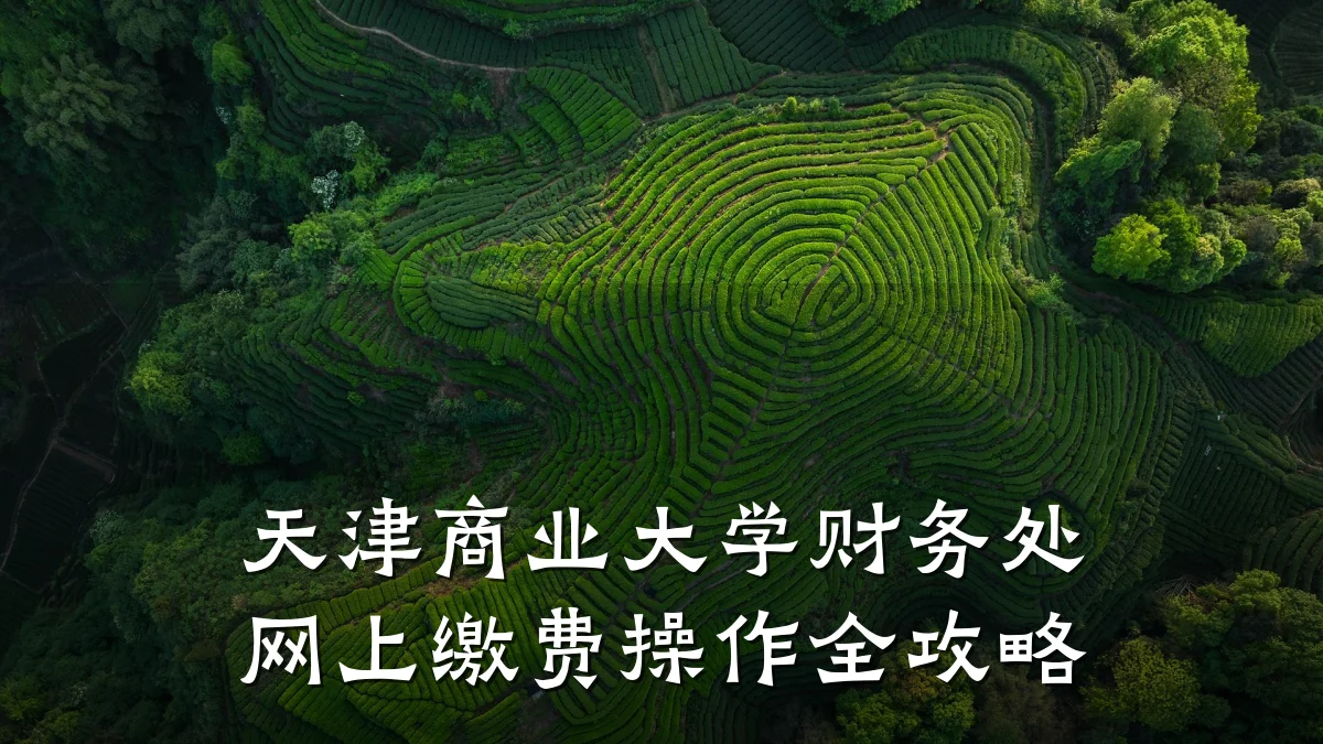 天津商业大学财务处网上缴费操作全攻略