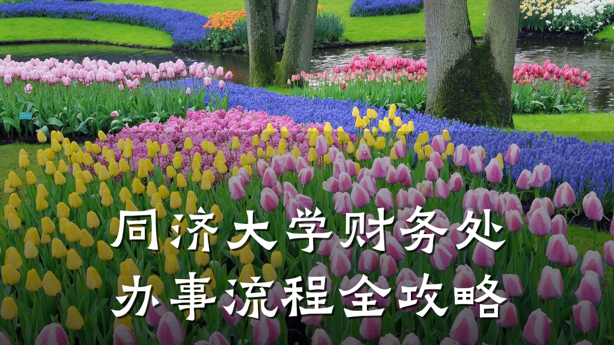 同济大学财务处办事流程全攻略