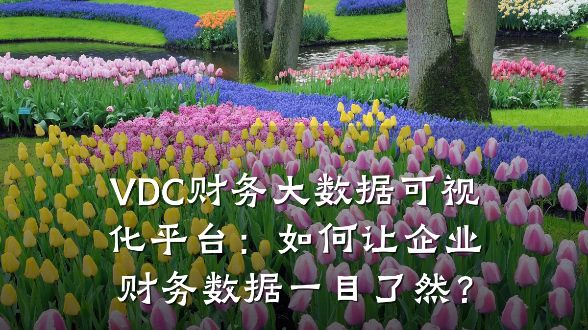 VDC财务大数据可视化平台:如何让企业财务数据一目了然?