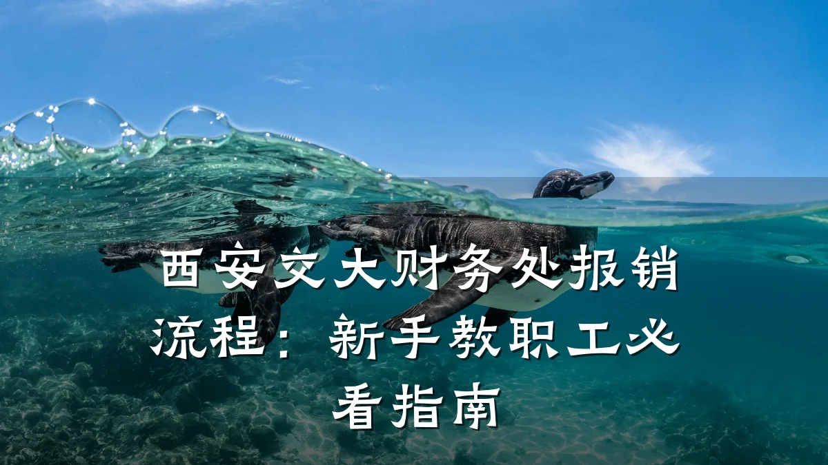 西安交大财务处报销流程:新手教职工必看指南