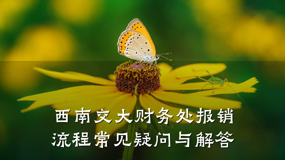 西南交大财务处报销流程常见疑问与解答
