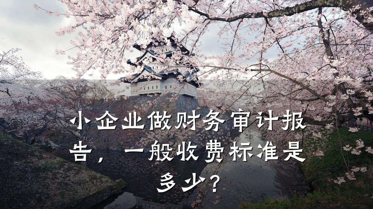 小企业做财务审计报告,一般收费标准是多少?