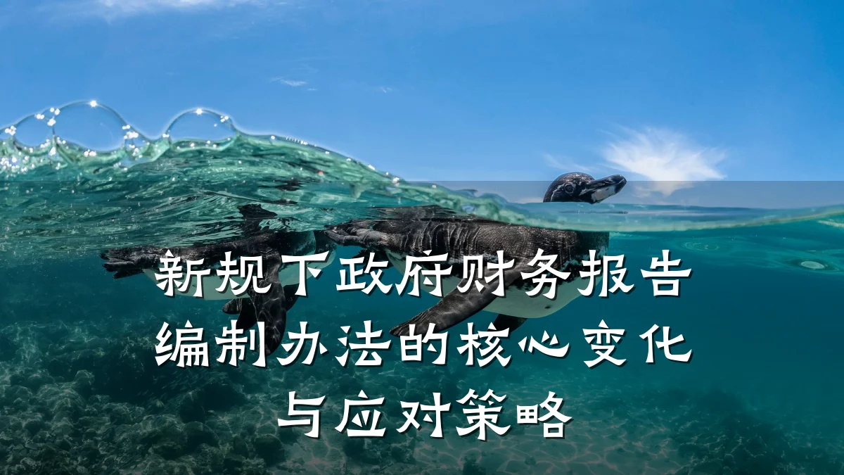新规下政府财务报告编制办法的核心变化与应对策略