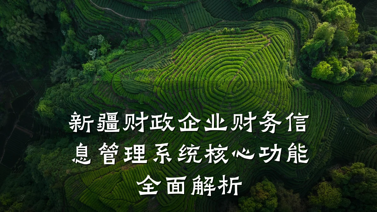 新疆财政企业财务信息管理系统核心功能全面解析