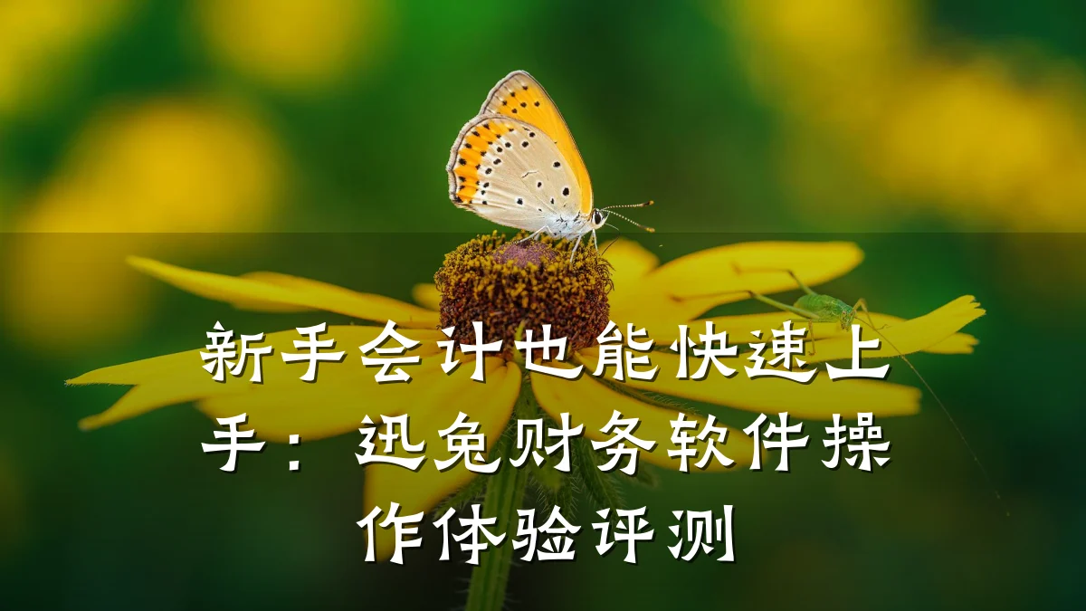 新手会计也能快速上手：迅兔财务软件操作体验评测