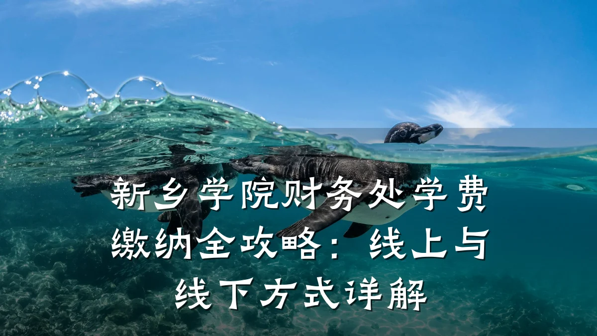 新乡学院财务处学费缴纳全攻略:线上与线下方式详解