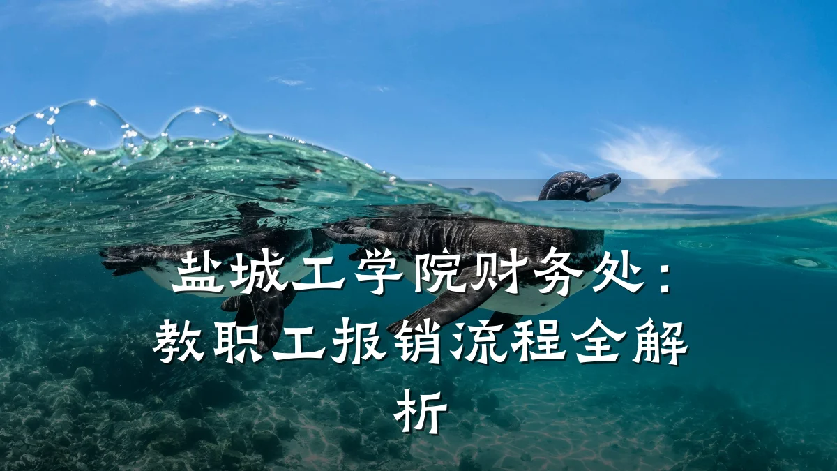 盐城工学院财务处:教职工报销流程全解析