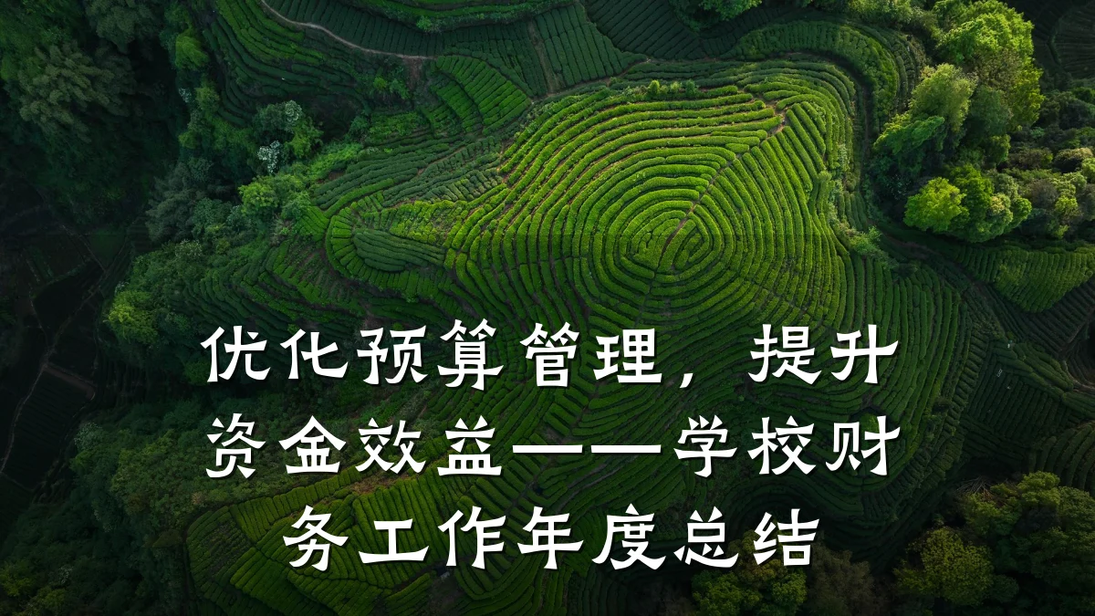 优化预算管理，提升资金效益——学校财务工作年度总结