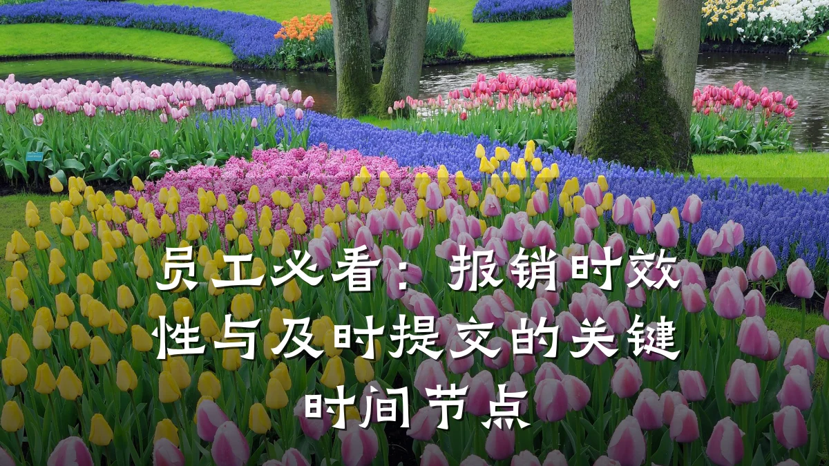 员工必看：报销时效性与及时提交的关键时间节点