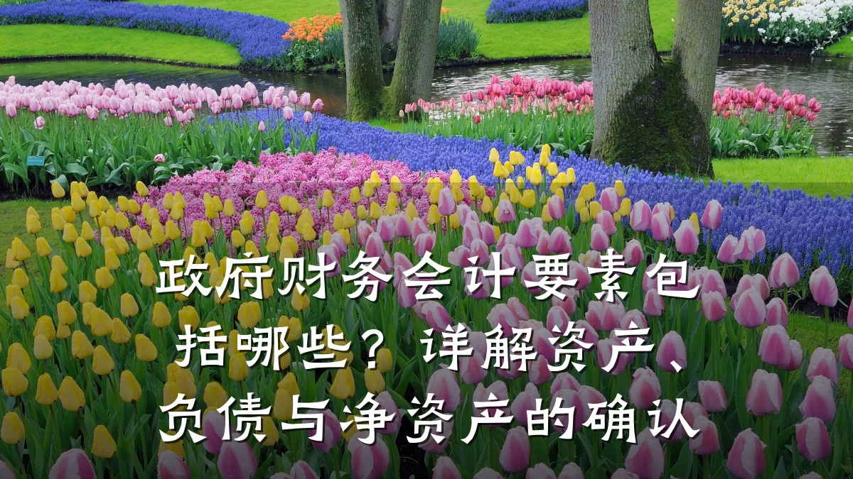 政府财务会计要素包括哪些?详解资产、负债与净资产的确认