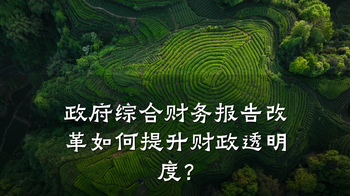 政府综合财务报告改革如何提升财政透明度?