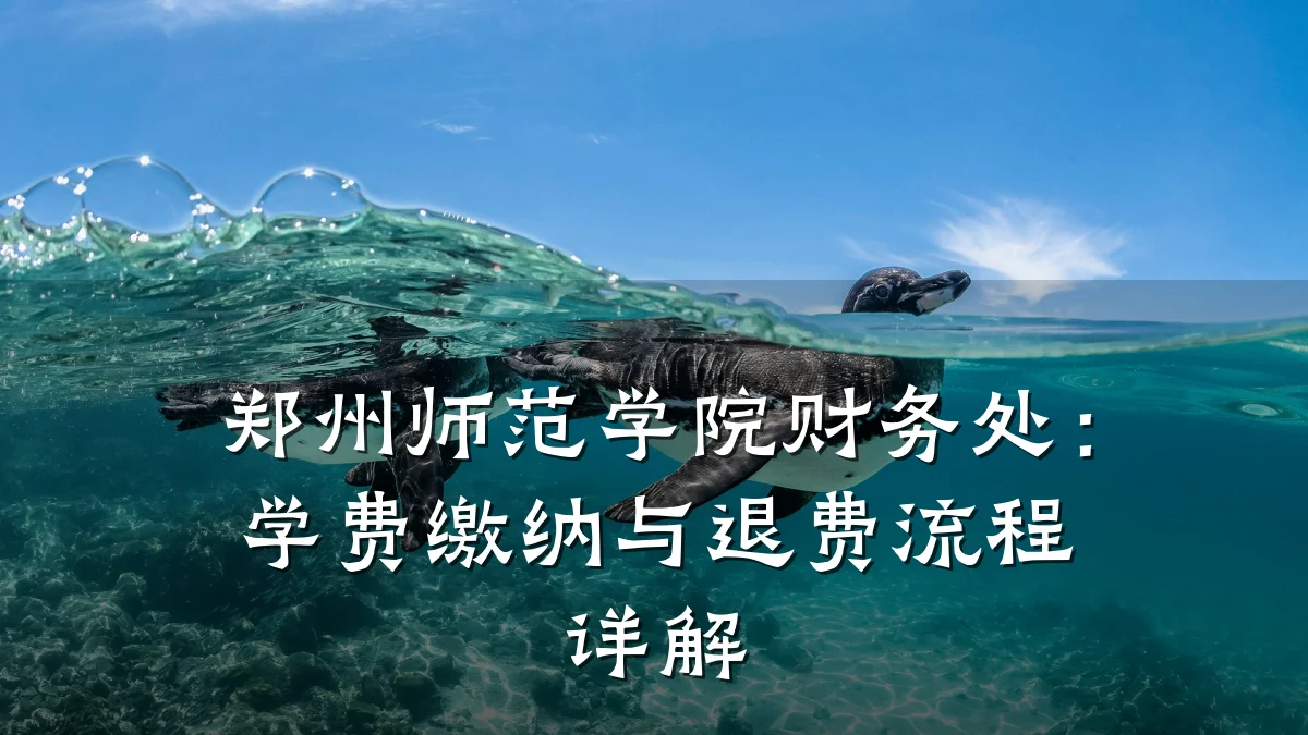 郑州师范学院财务处:学费缴纳与退费流程详解