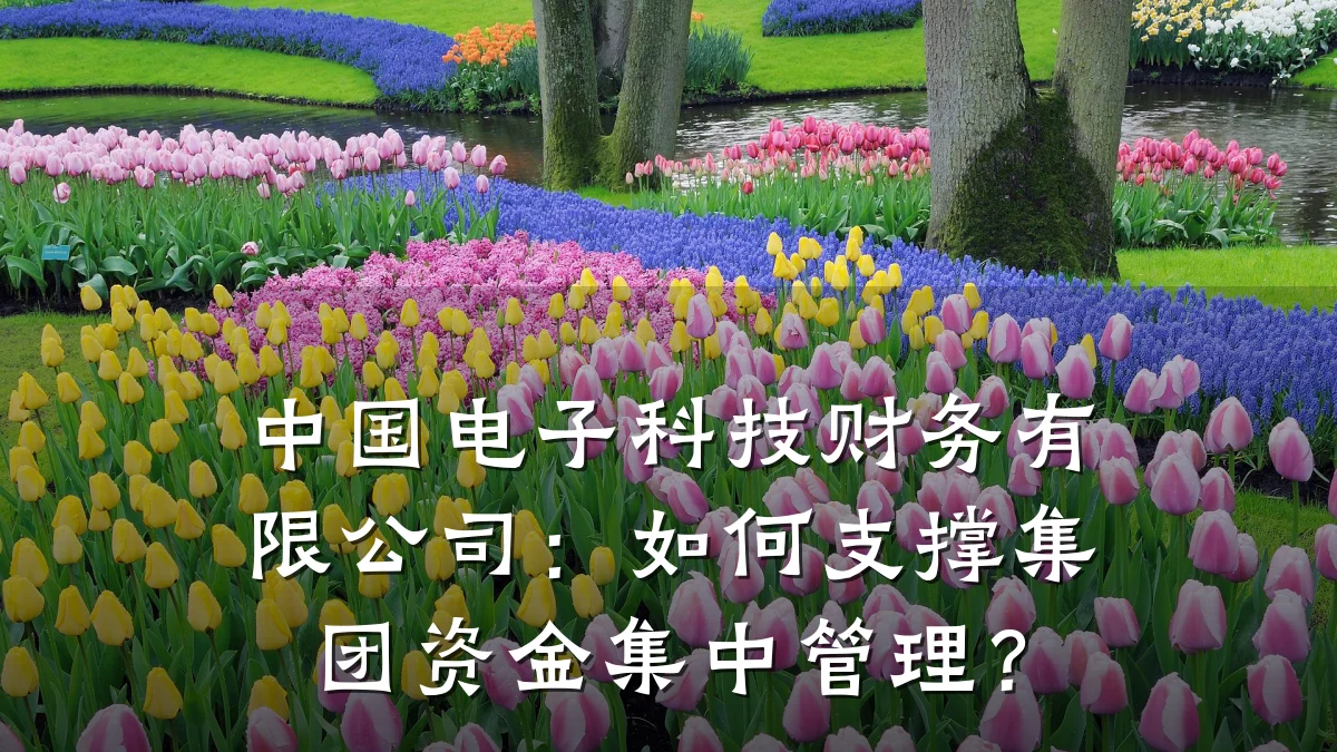 中国电子科技财务有限公司:如何支撑集团资金集中管理?