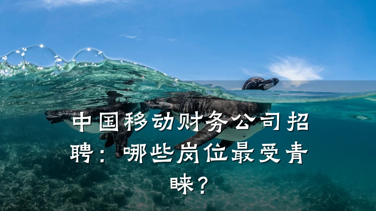 中国移动财务公司招聘:哪些岗位最受青睐?
