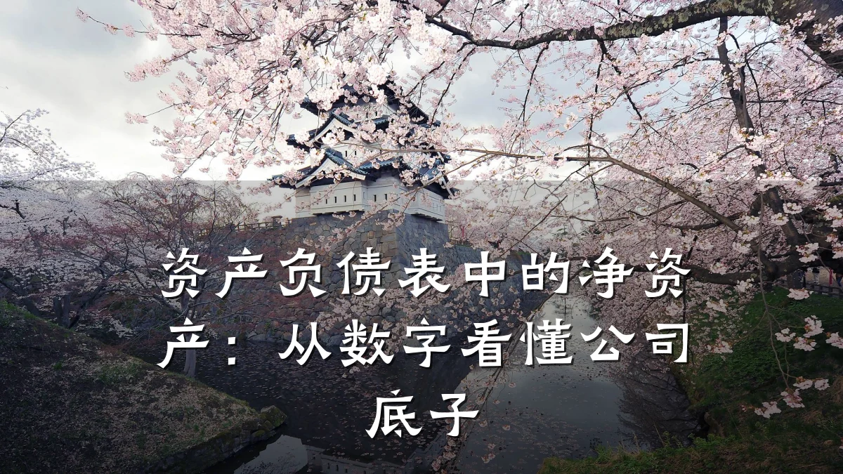 资产负债表中的净资产：从数字看懂公司底子