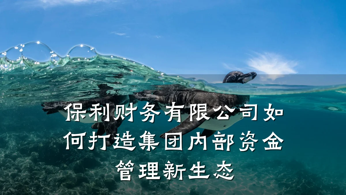 保利财务有限公司如何打造集团内部资金管理新生态