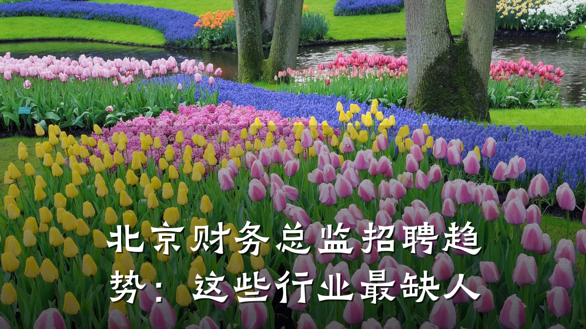 北京财务总监招聘趋势:这些行业最缺人