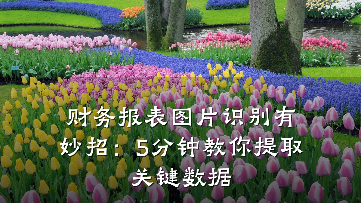 财务报表图片识别有妙招:5分钟教你提取关键数据