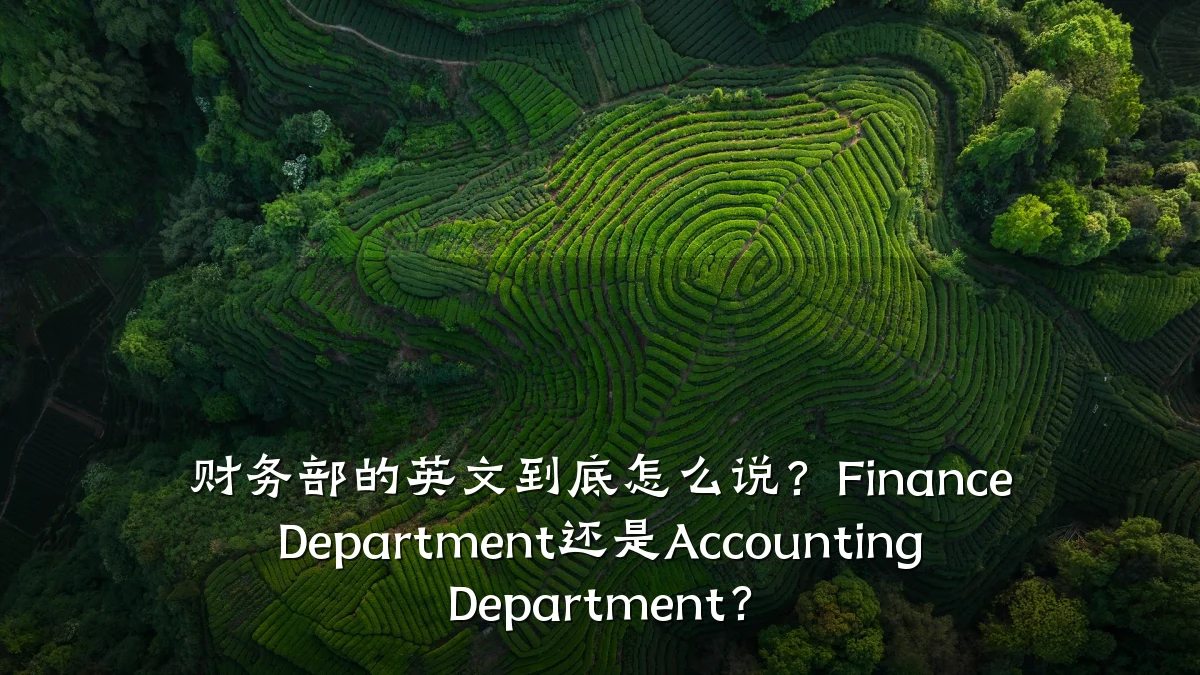 财务部的英文到底怎么说？Finance Department还是Accounting Department？