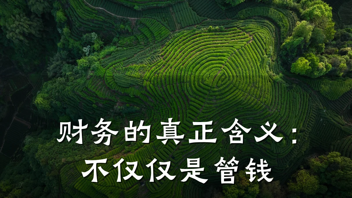 财务的真正含义:不仅仅是管钱