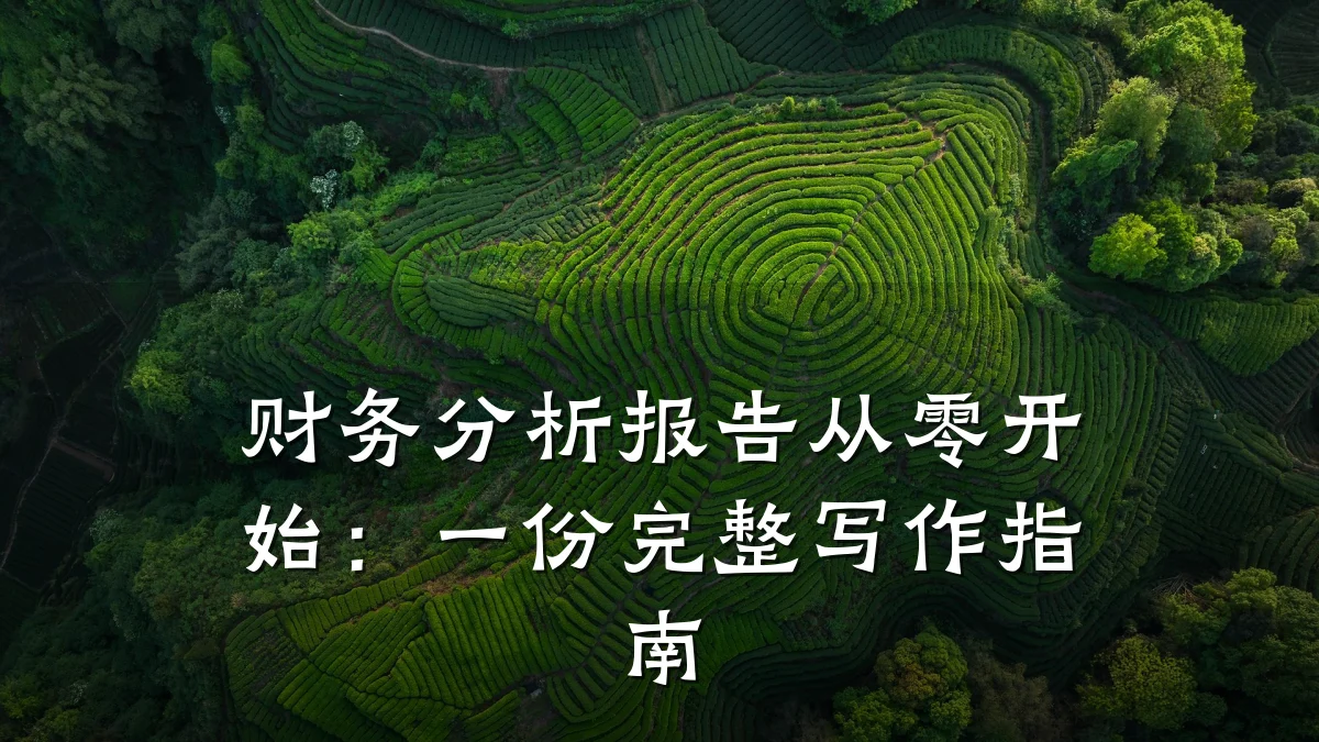 财务分析报告从零开始:一份完整写作指南