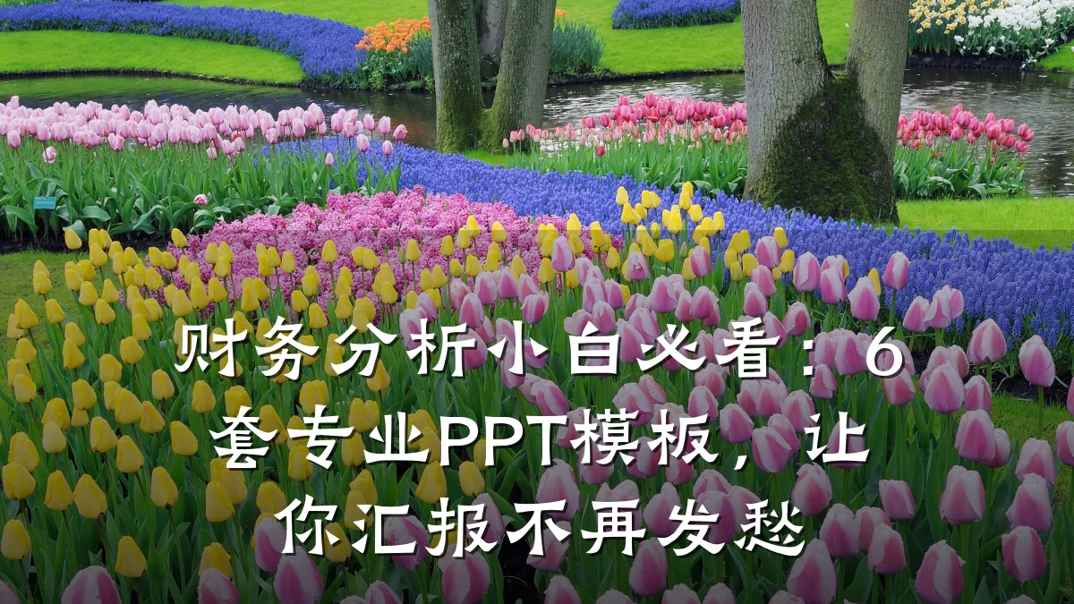 财务分析小白必看:6套专业PPT模板,让你汇报不再发愁