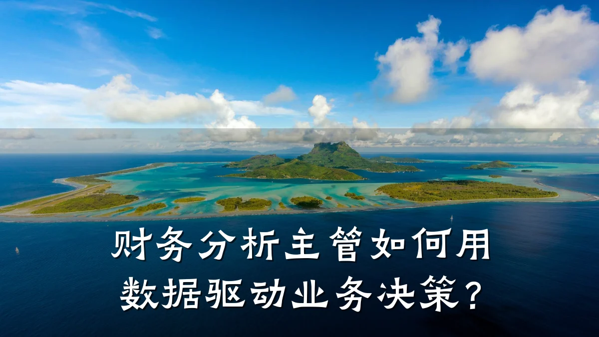 财务分析主管如何用数据驱动业务决策?