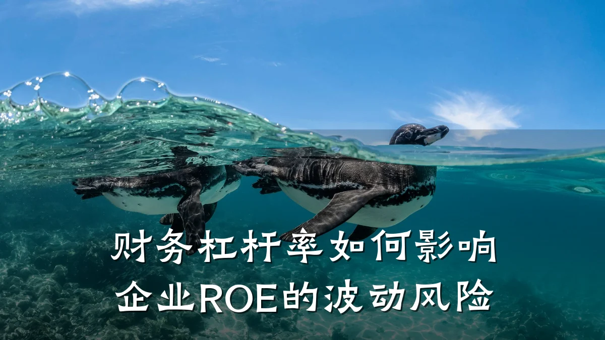 财务杠杆率如何影响企业ROE的波动风险