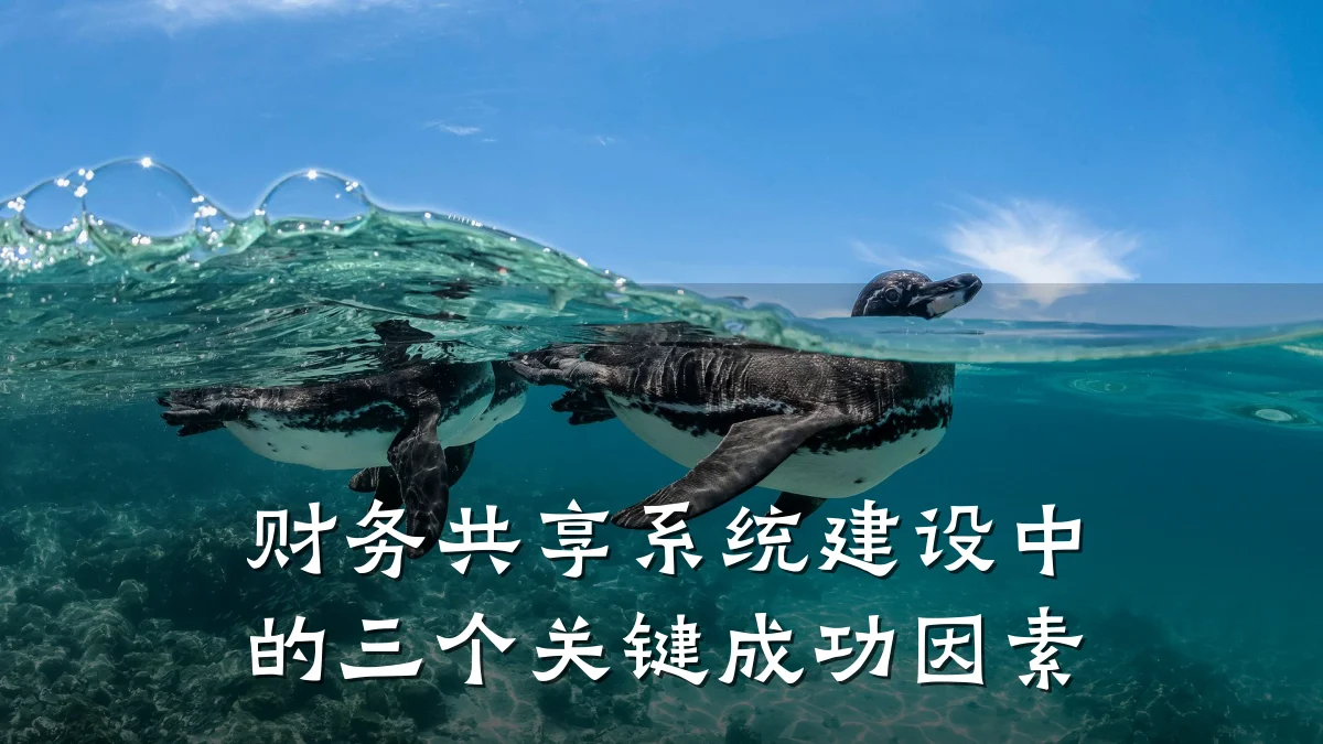 财务共享系统建设中的三个关键成功因素