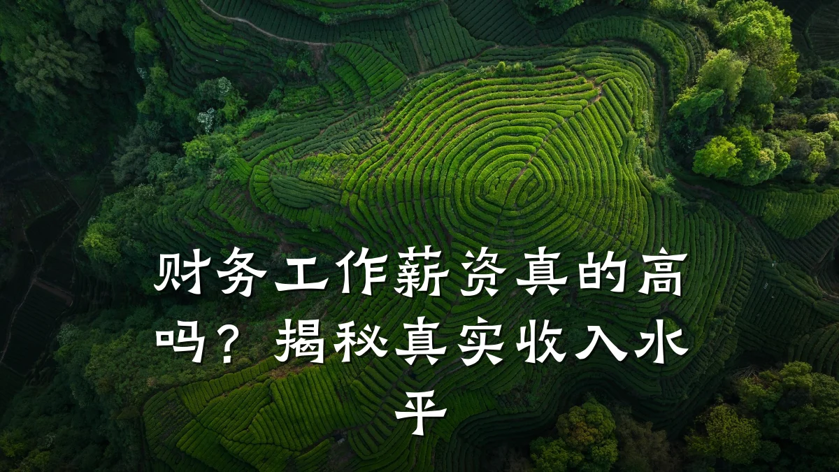 财务工作薪资真的高吗？揭秘真实收入水平