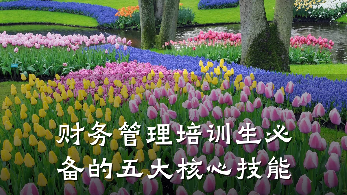 财务管理培训生必备的五大核心技能