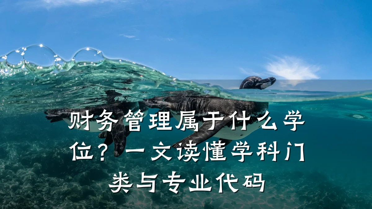 财务管理属于什么学位?一文读懂学科门类与专业代码