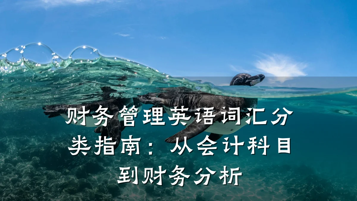 财务管理英语词汇分类指南:从会计科目到财务分析