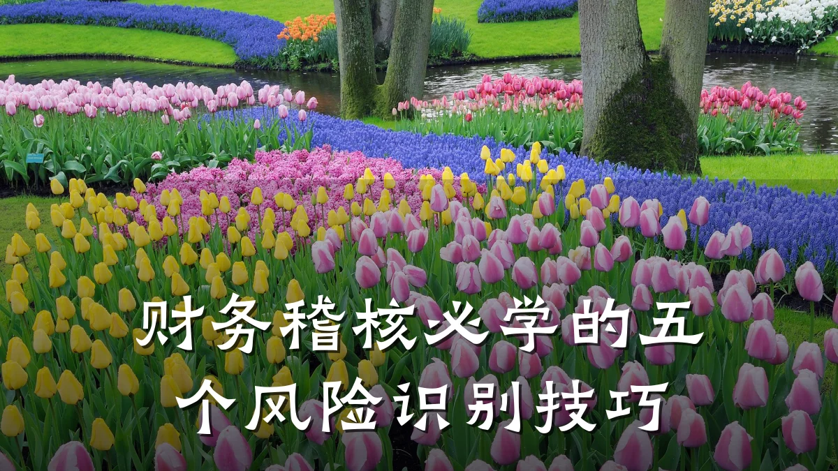 财务稽核必学的五个风险识别技巧