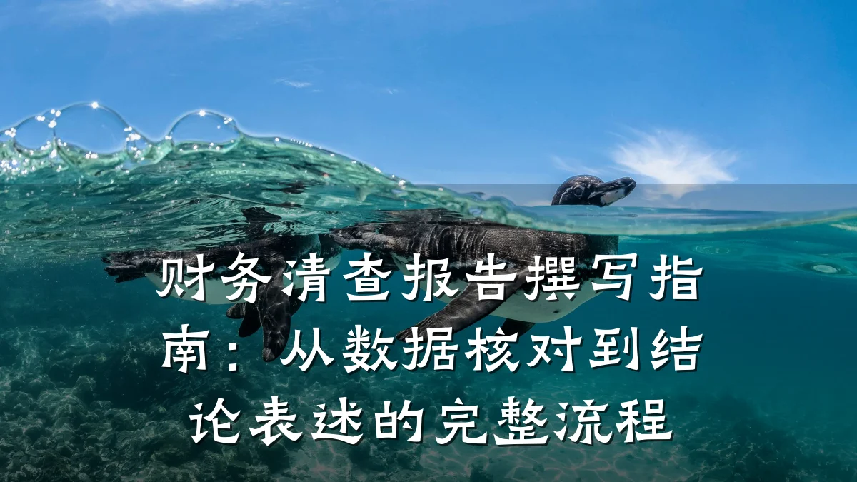财务清查报告撰写指南：从数据核对到结论表述的完整流程