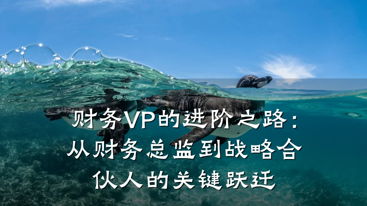 财务VP的进阶之路：从财务总监到战略合伙人的关键跃迁