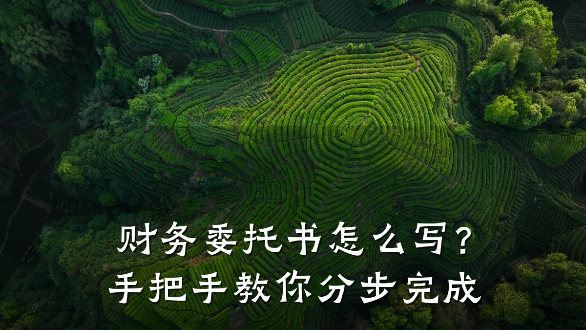 财务委托书怎么写?手把手教你分步完成