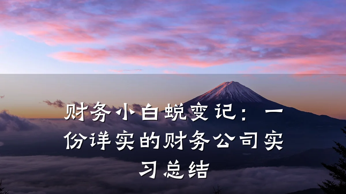 财务小白蜕变记：一份详实的财务公司实习总结