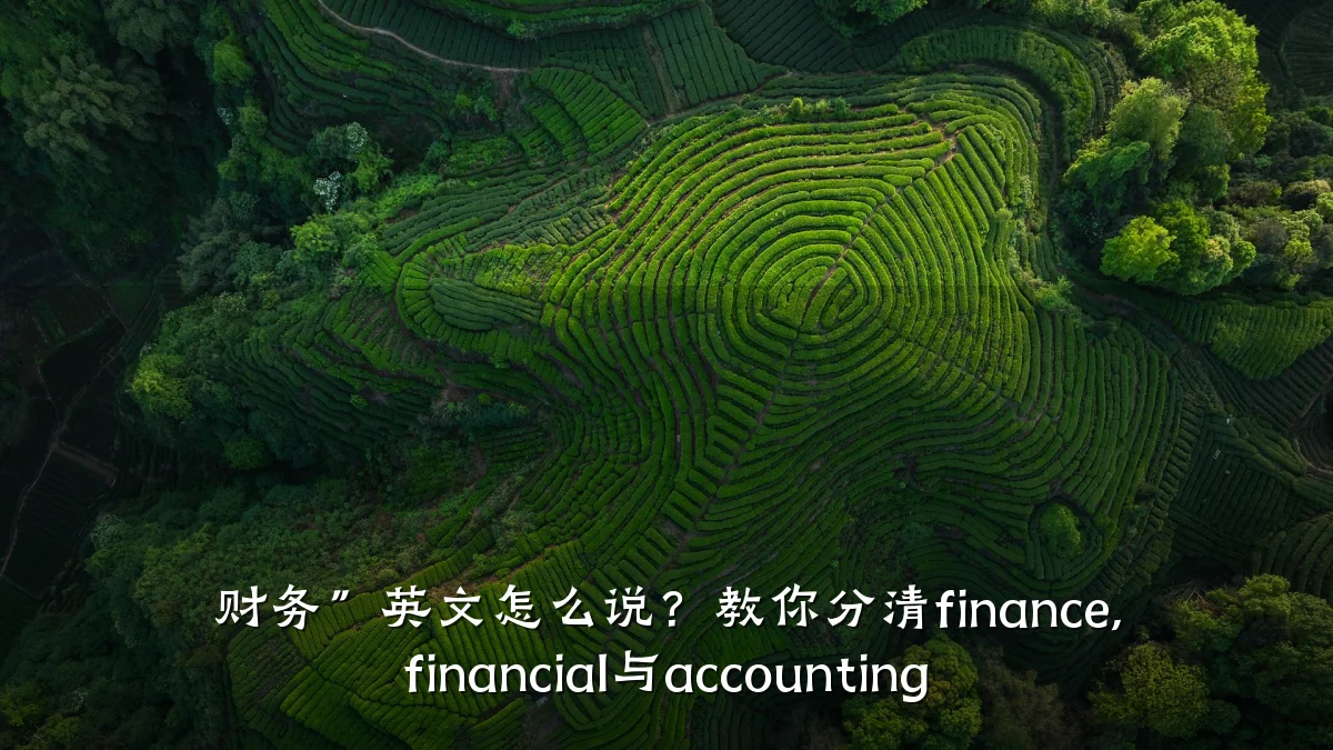 财务”英文怎么说?教你分清finance, financial与accounting
