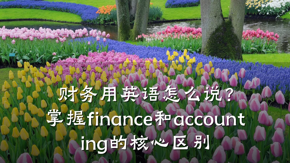 财务用英语怎么说?掌握finance和accounting的核心区别